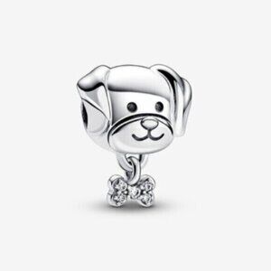 Pandora charms